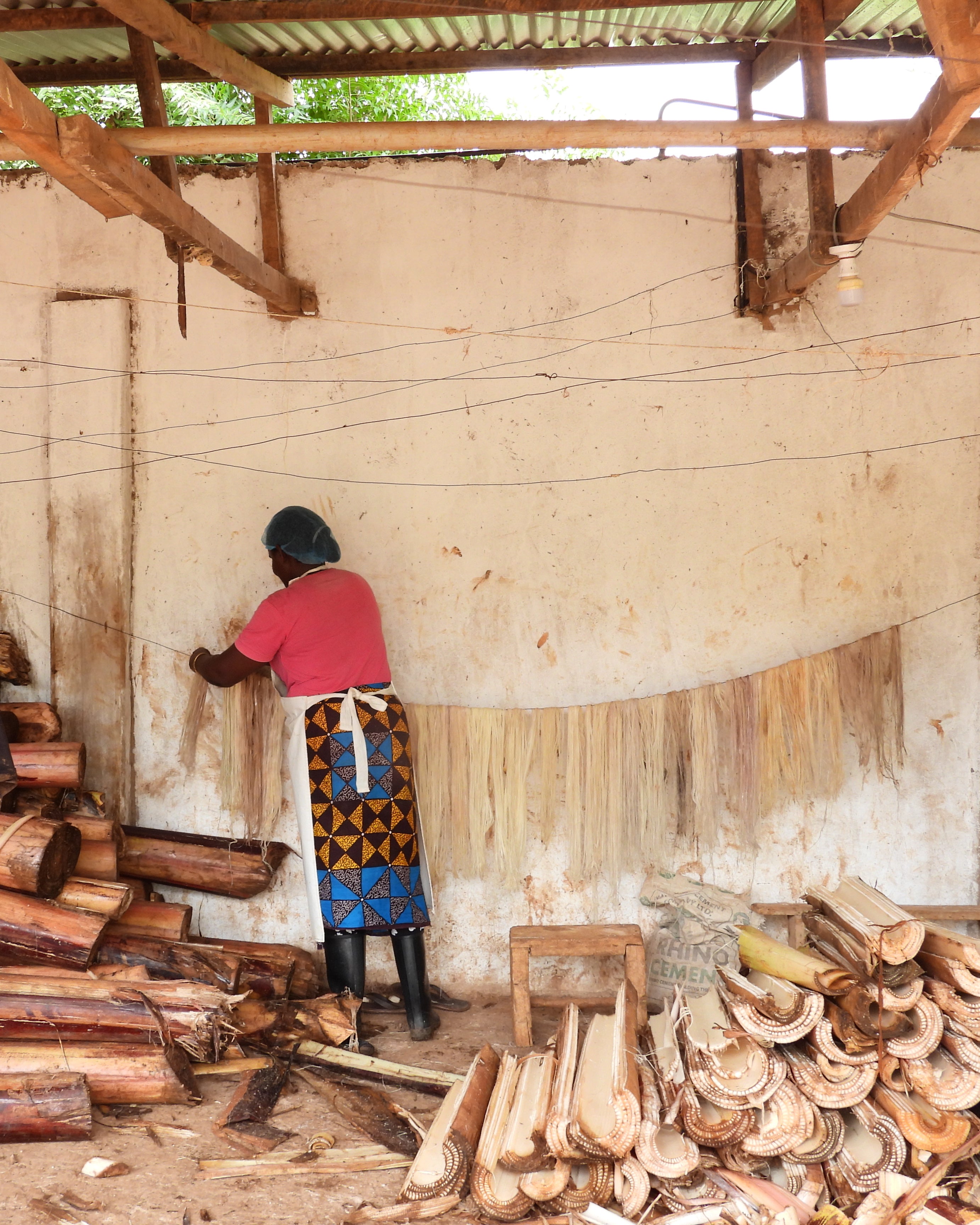 artisan collecting pineapple waste fibres for LilaBare who turns them into luxury fashion