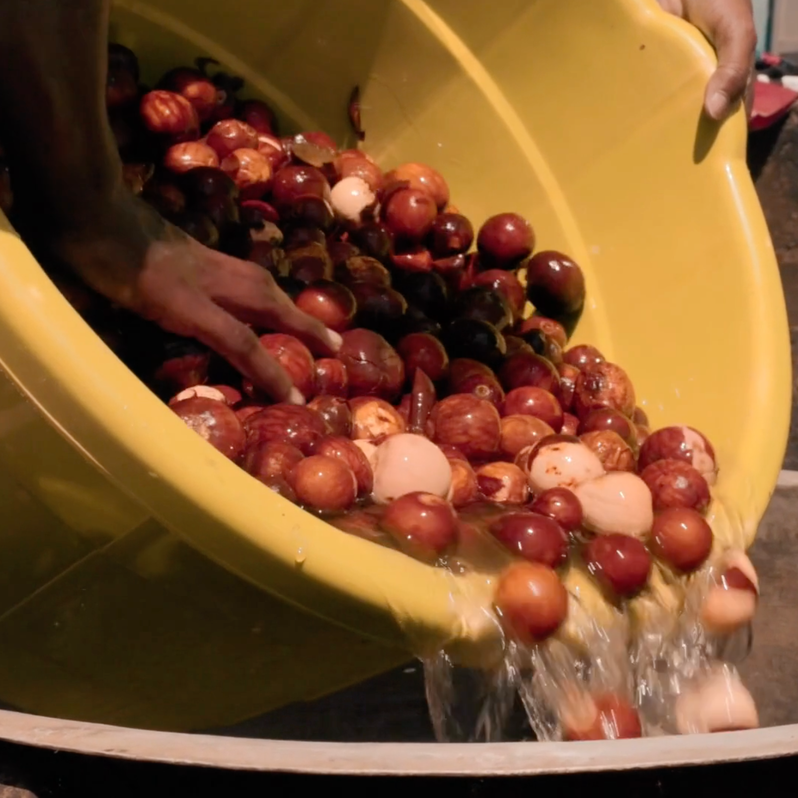 closeup of artisan hands on using agricultural waste to dye colours at LilaBare