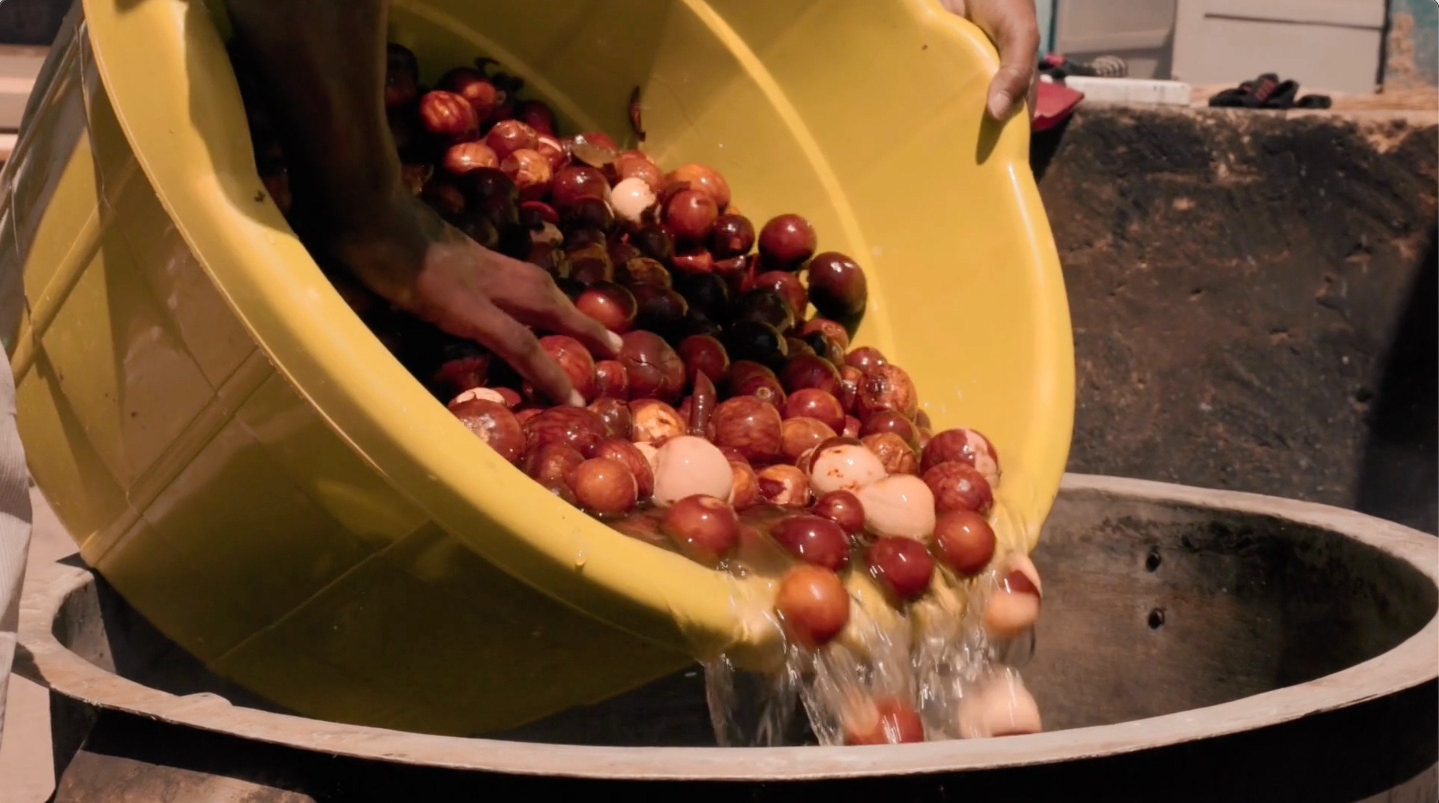 NATURAL DYES