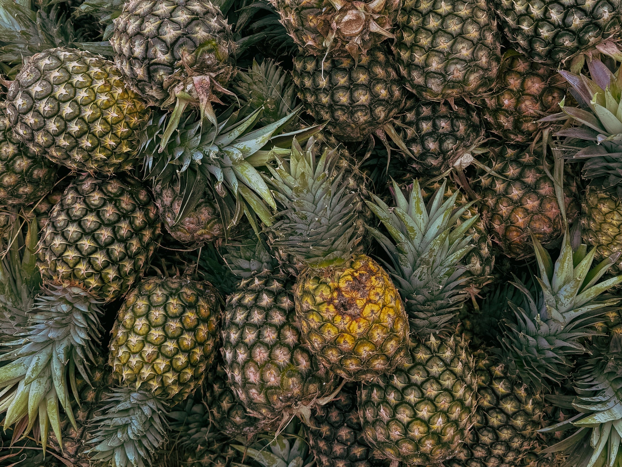 PINEAPPLE WASTE