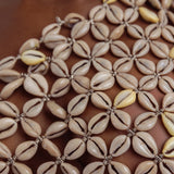 Cowrie Asymmetric Top